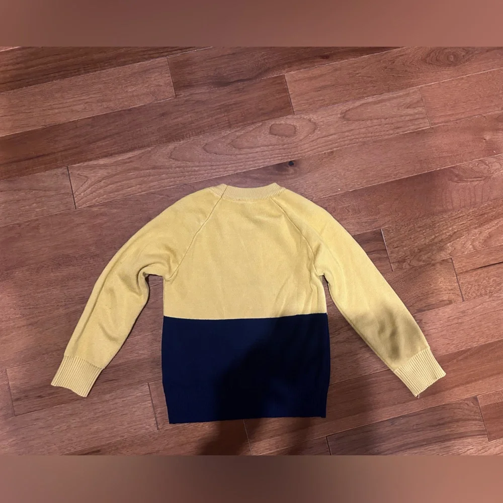 Adorable Yellow Lion Kids Sweater